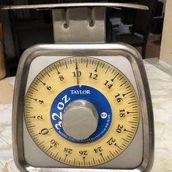 Taylor  32 oz commercial scale 