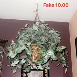 Fake Plant