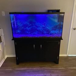 120 gallon fish tank heater filter many orniments and all accessories