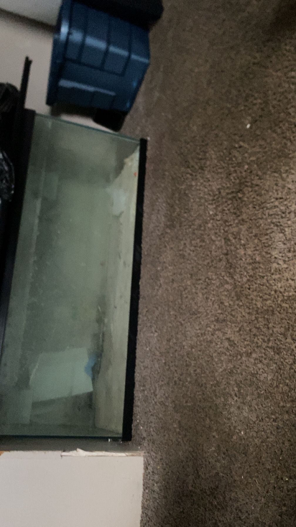 Fish Tank