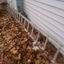 Ladder