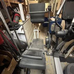 Technogym Flexibility Posterior 