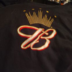 DALE EARNHARDT JR  BUDWEISER JACKET
