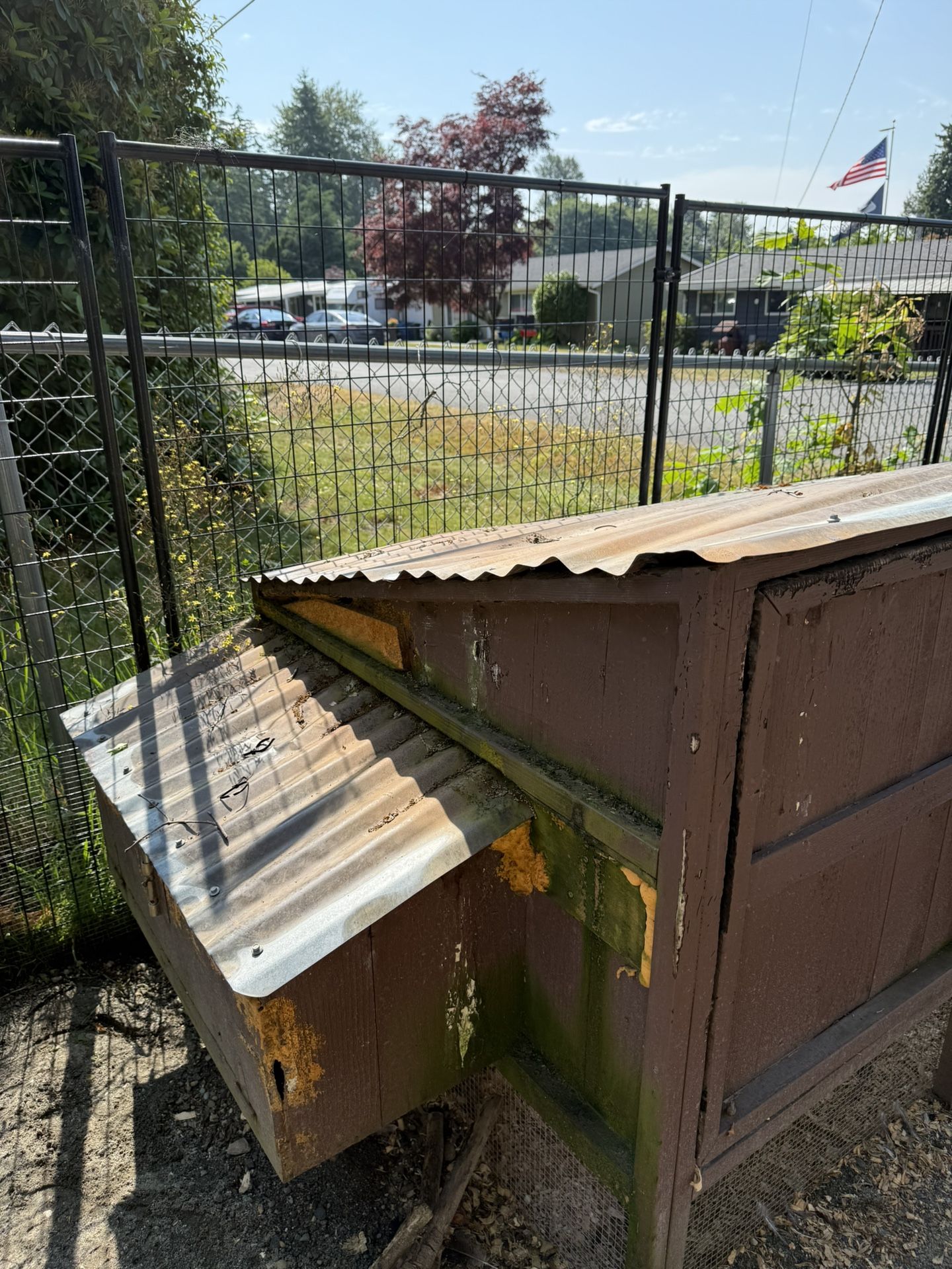 Chicken coup