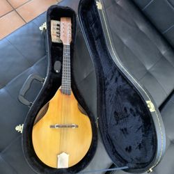 Mandolin 