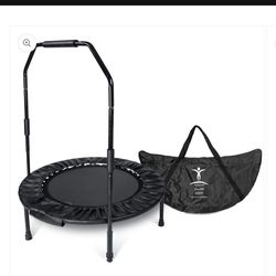 Cellercise Rebounder