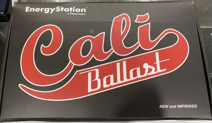 1000 Watt Ballast Digital