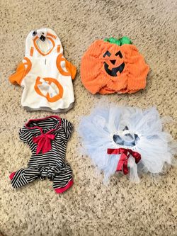 Dog costumes