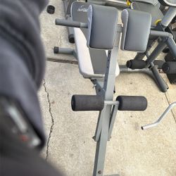 Workout Bench
