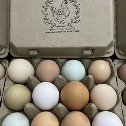 Fresh Farm Eggs Huevos Frescos