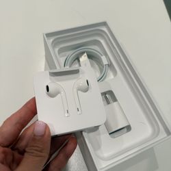 Apple EarPods (wired, Lightning) + lightning charging cable + wall adapter 
