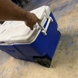Coleman Cooler