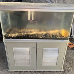 65g Jebo Aquarium Fish Tank