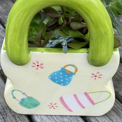 Ceramic “Bag “ Filled With Succulents