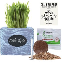 Organic Cat Grass Kit