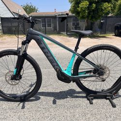 Trek E Bike