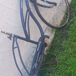 Beach cruiser frame and forks