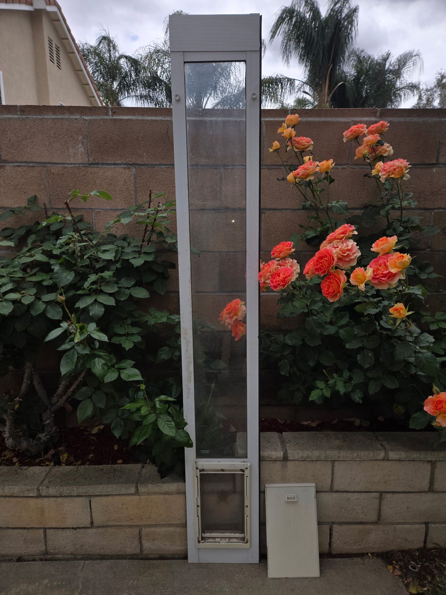 Small Doggie Door