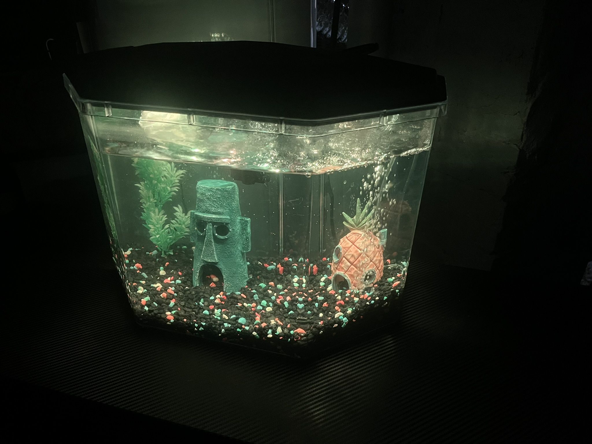 6-10 Gallon Aquarium 