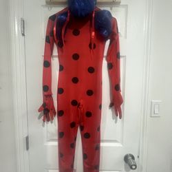 Lady Bug Costume 