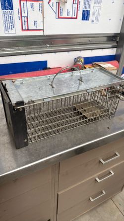 Rat trap