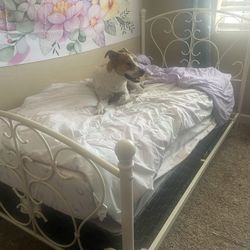 TWO twin bed frames mattress and dog not included