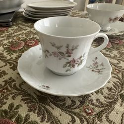 Bavarian Teacup And Saucer (5) Available