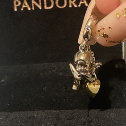 Pandora Charms 6
