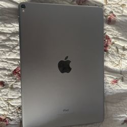 iPad Pro 10.5 Inch 