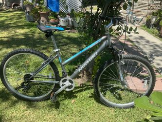 Silver 26in MTB