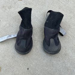 Dog Boots