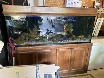 180 Gallon Aquarium Fish Tank
