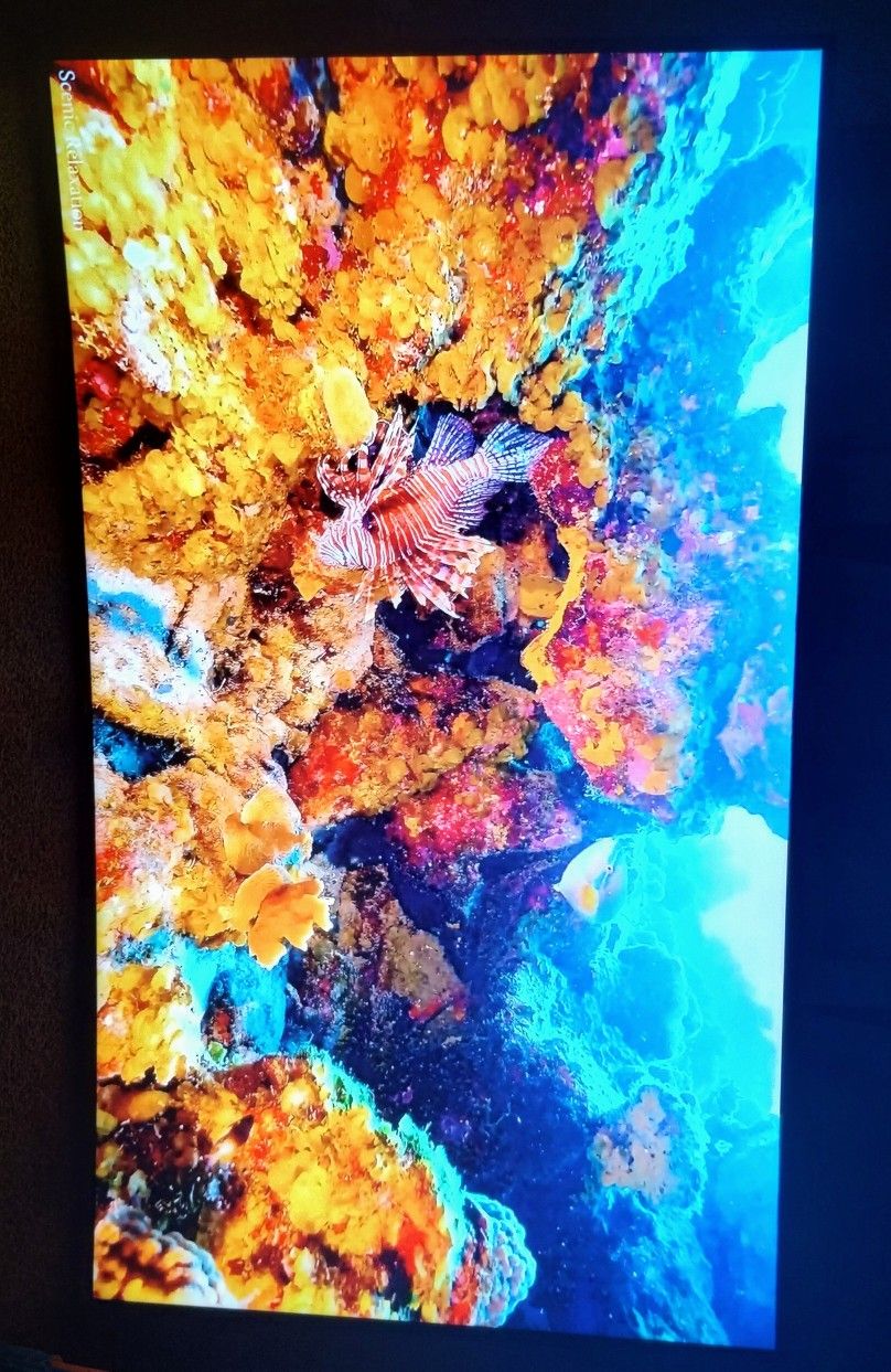 78" Samsung Curved Smart Tv