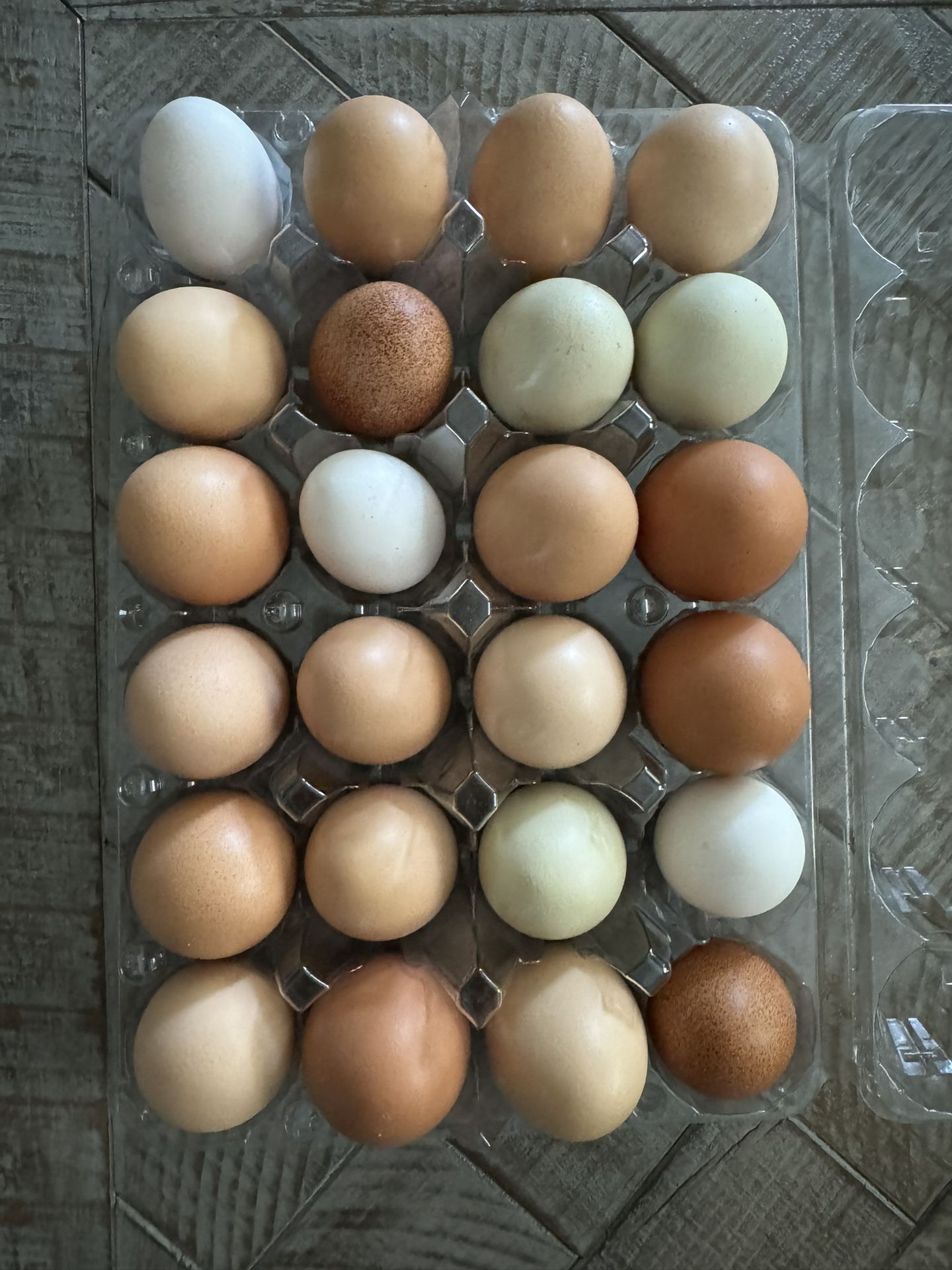 Fresh Eggs $7 A Dozen