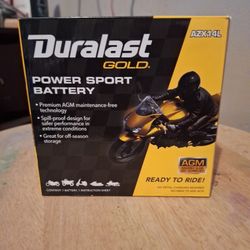 Motorcycle Battery. AZX14L