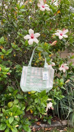 Trader Joe’s tote bag