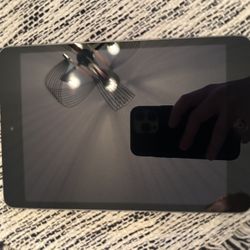 Ipad Mini2 Wifi And Cellular Capabilities. 