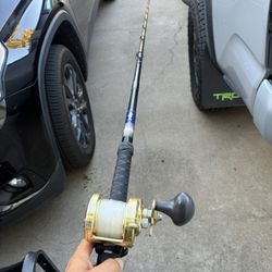 Custom Calstar 540 Jig stick paired with Gold Trinidad 20