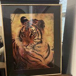 🐅 Tiger Decorative Framed Photo – Bold & Elegant Wall Art 🖼