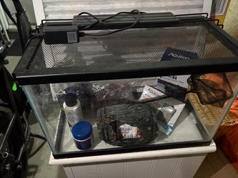 6 gallon fish tank with filter/light/lots of goodies
