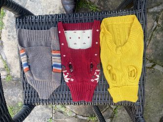 3 Small Sweaters For Dogs