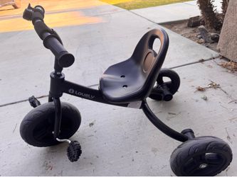 Tricycle Bike