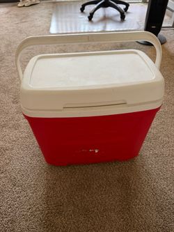 Igloo Cooler