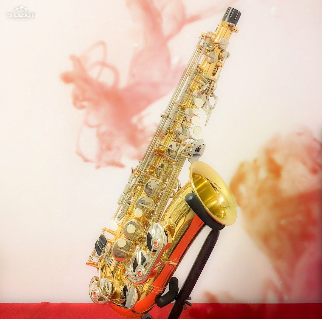 Selmer Liberty Alto Saxophone Pristine Condition for Sale in
