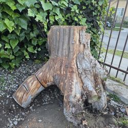Tree Trunk 