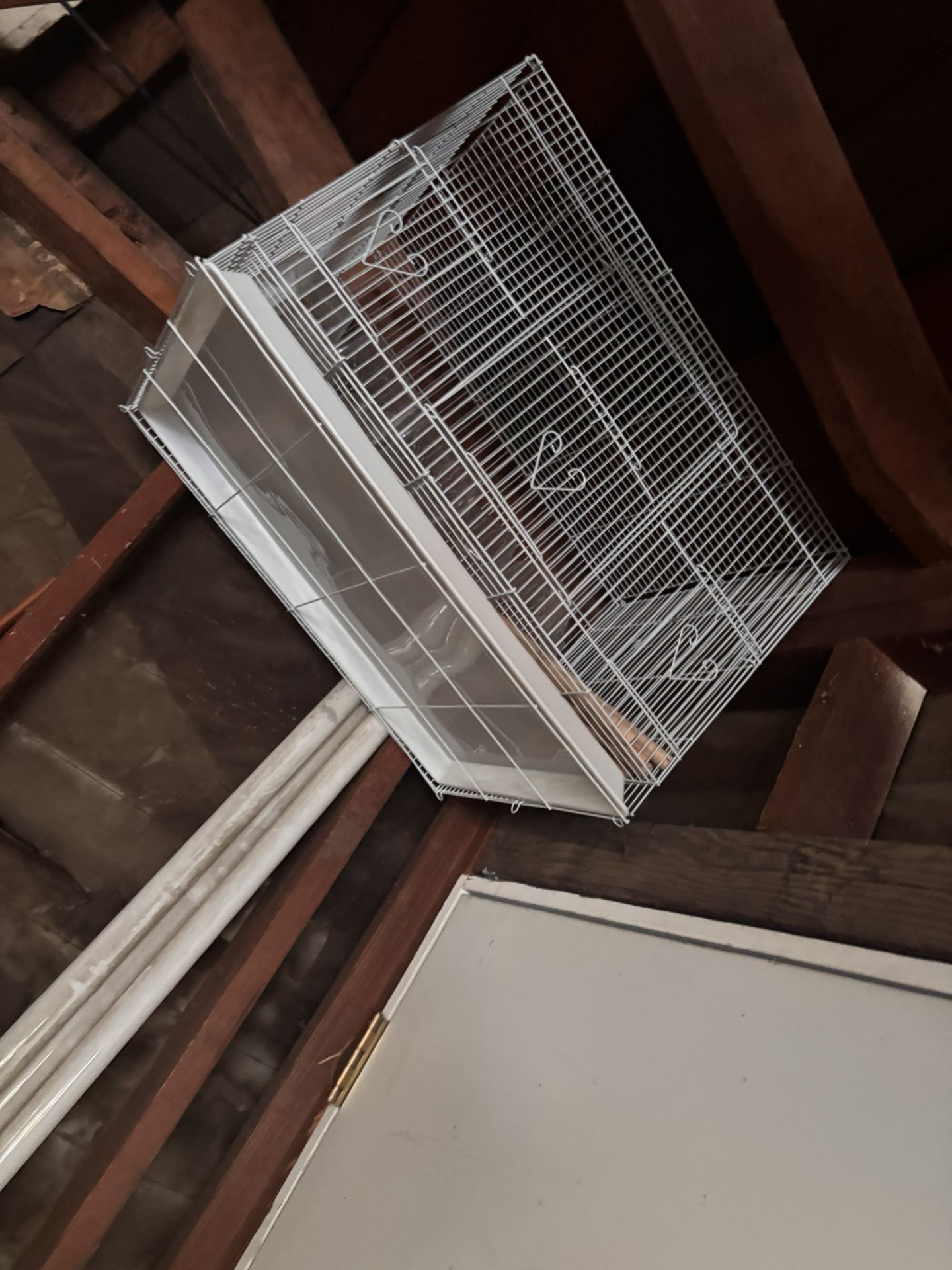 New Bird Cage