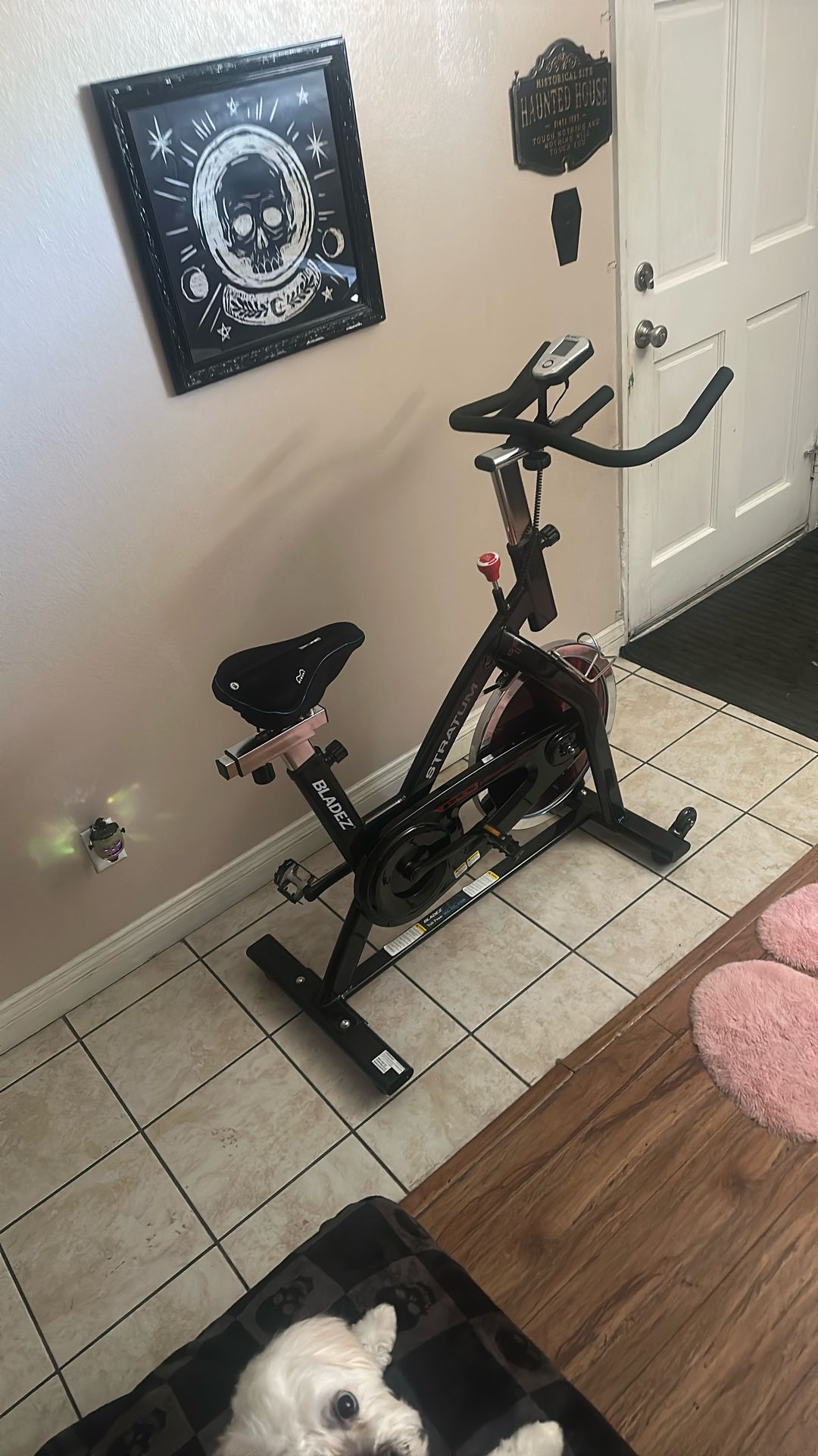 Bladez Exercise Bike