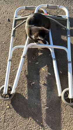 Venta Final De Andadera Para Adulto