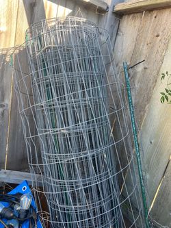 Galvanized Welded Wire Mesh Fencing Roll