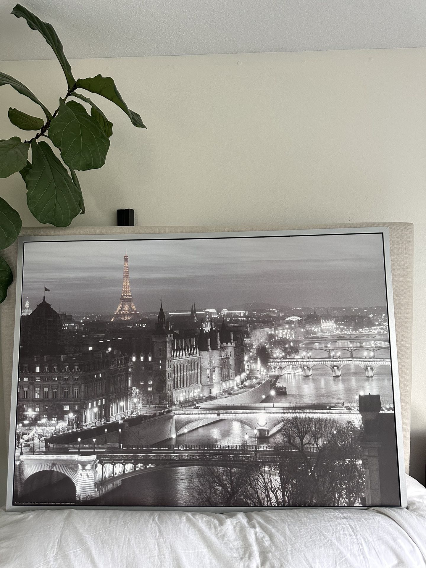 Wall City Paris Picture